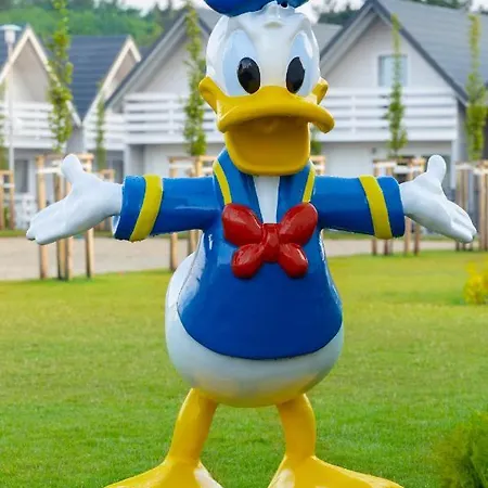 & Grzybowo (West Pomeranian)